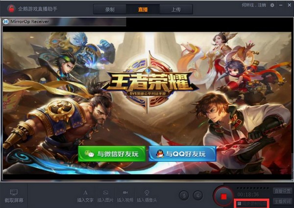 企鹅,助手,直播