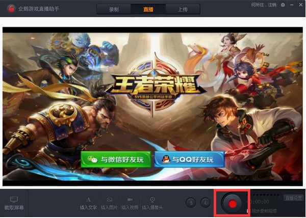 企鹅,助手,直播
