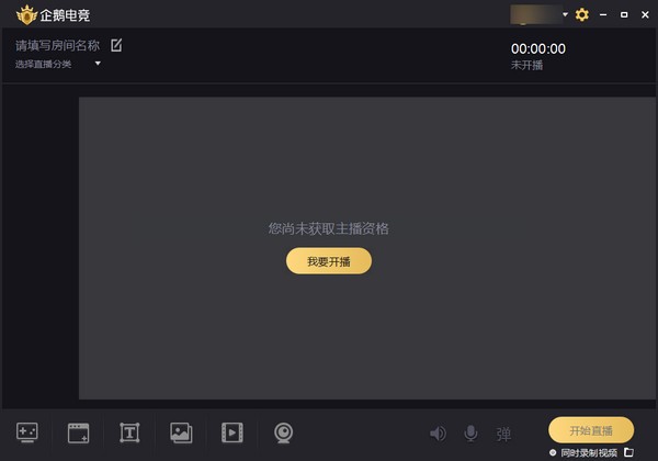 企鹅,助手,直播