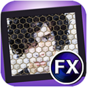 JixiPix Kyoobik Photo Mac版