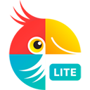 Photo Editor Lite Movavi Mac版