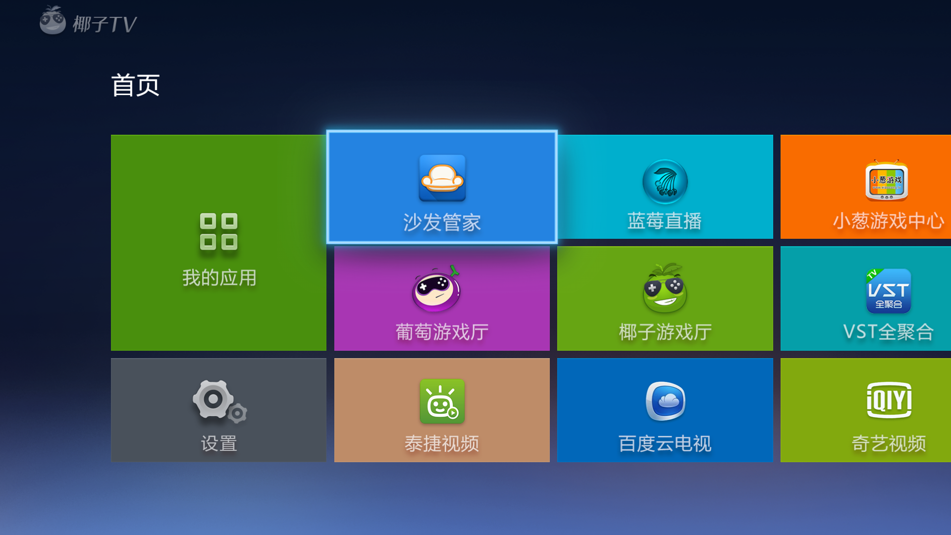 椰子,桌面,TV