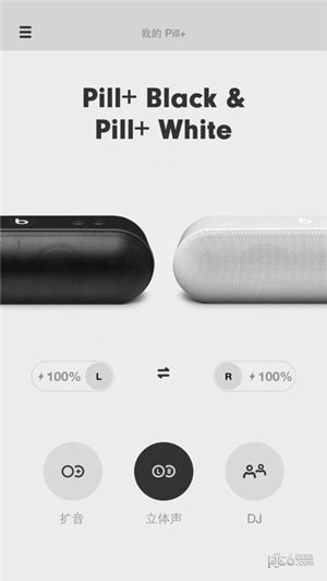 Beats Pill+