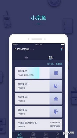 京东小京鱼