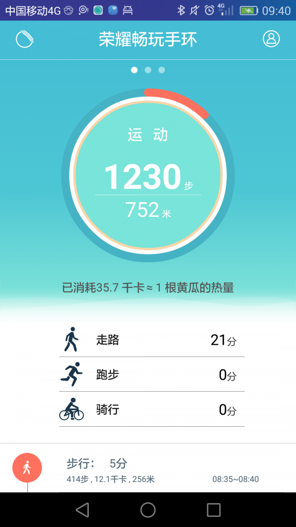 手环,荣耀