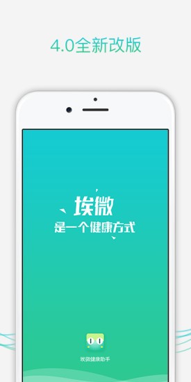 手环,微蛋
