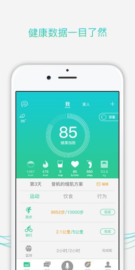 手环,微蛋