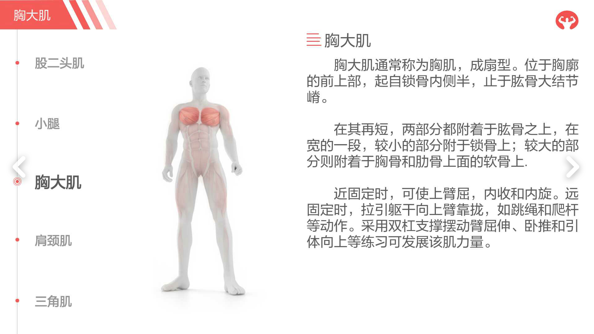健身