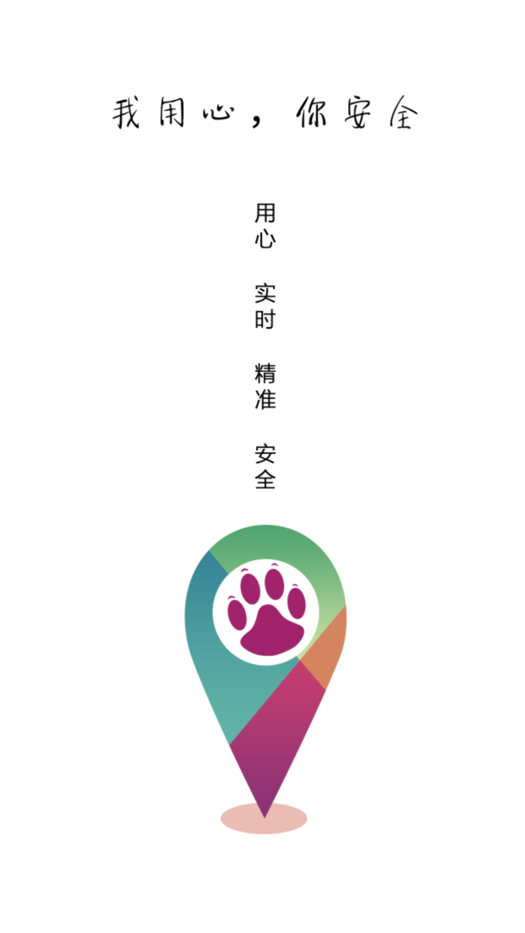 宠物,智能,伴侣