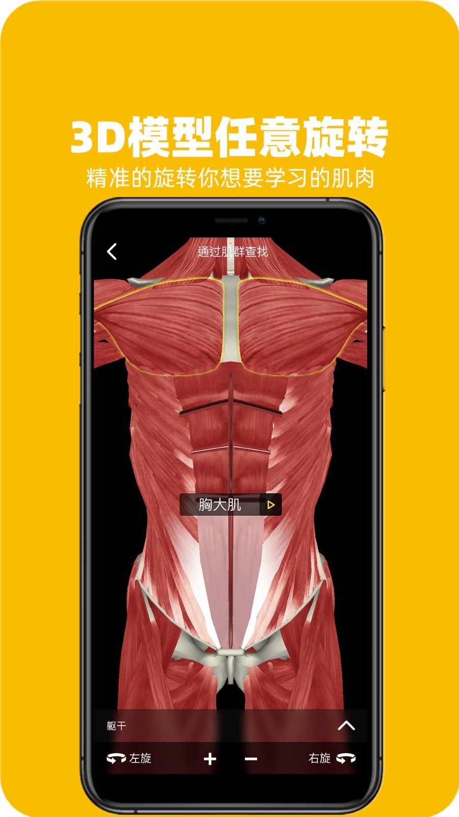 3Dfit