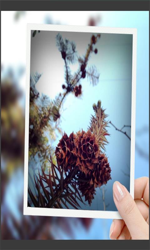 趣拍,照相机