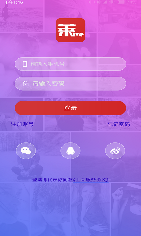 上莱,直播