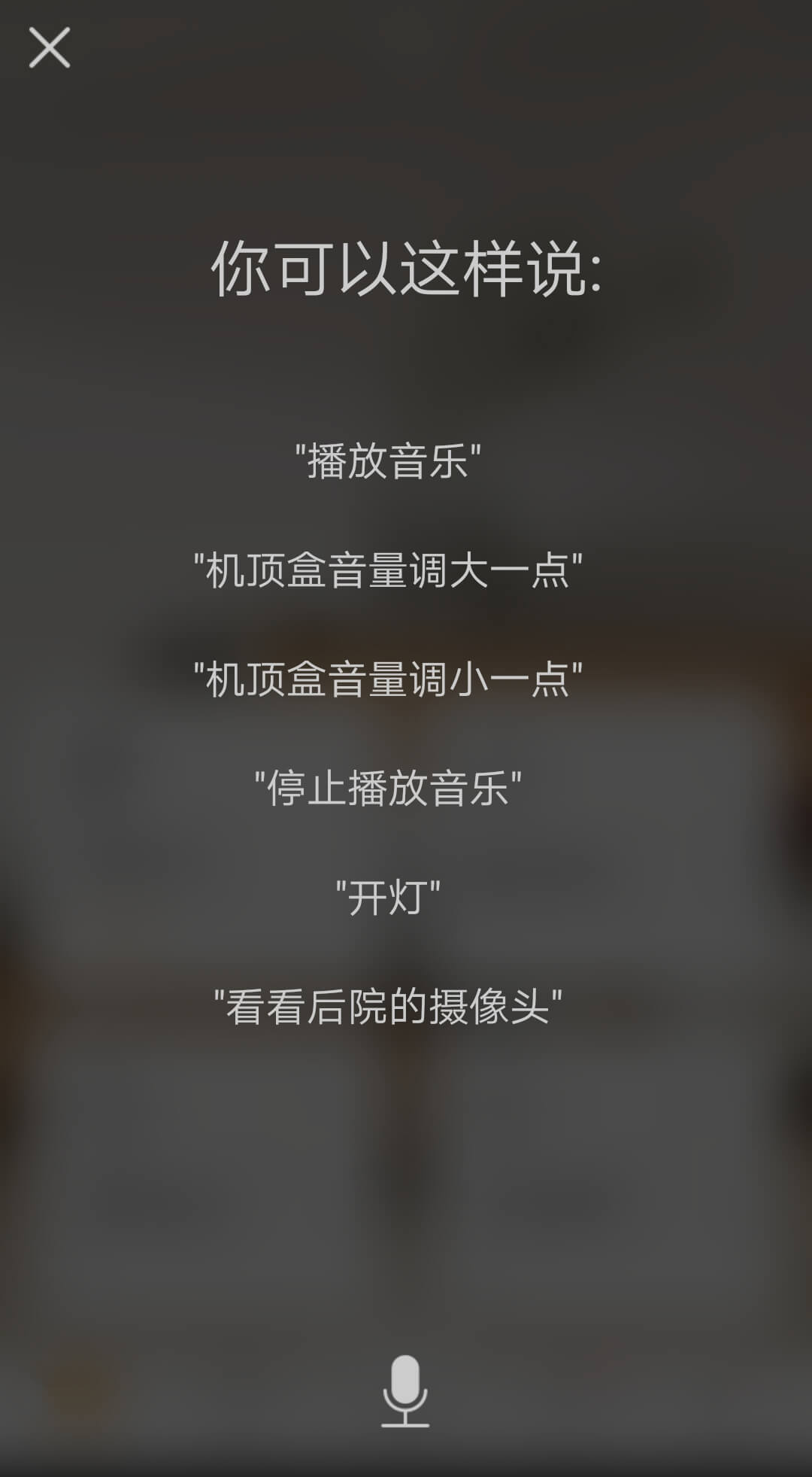 智家,博顿
