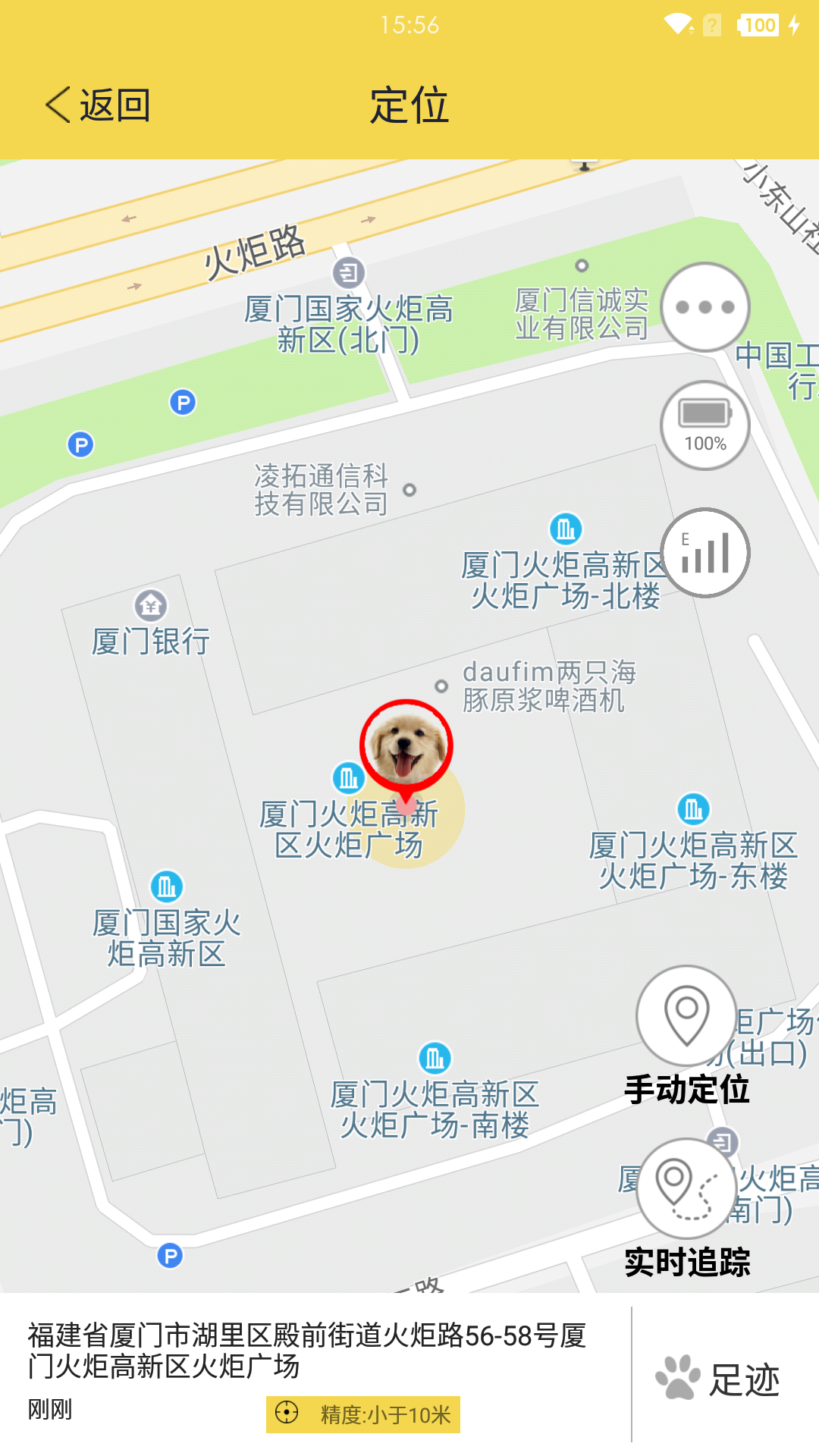 宠物,智能,伴侣