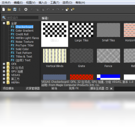VEGAS,Pro,15