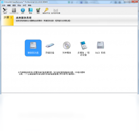 EasyRecovery,Professional