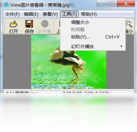 查看器,图片,View