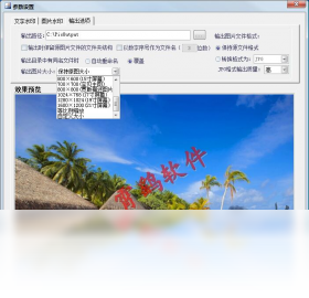 水印,助手,批量