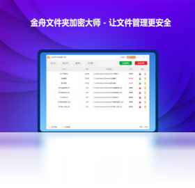 文件,大师,加密
