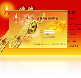 贵宾版,金融,风险