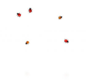 Ladybug,on,desktop