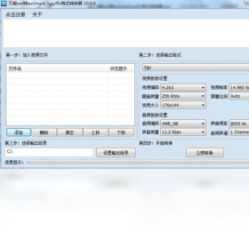 转换器,格式,flv
