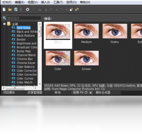 VEGAS,Pro,15