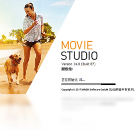 Movie,Studio,14
