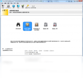 EasyRecovery,Professional