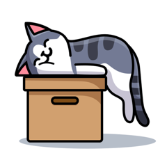 ‎解忧小猫咪