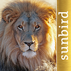 ‎The Golden Safari Guide