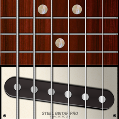 ‎Steel Guitar PRO