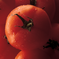 ‎Tomato MD