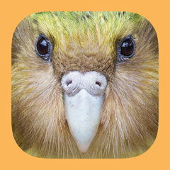 ‎Birds of New Zealand