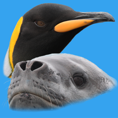 ‎Antarctic Wildlife Guide
