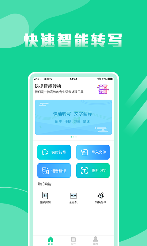 语音,专家,文字