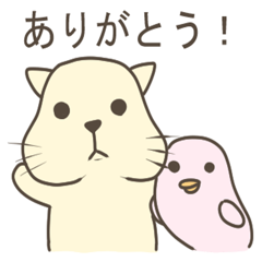 ‎CatandBird