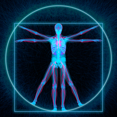 ‎ARmazing X-Ray FX
