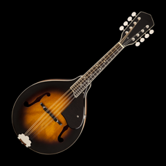 ‎Mandolin Tuner Simple