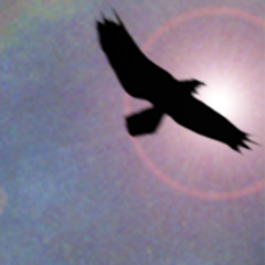 ‎Shamanic Journey Drumming - Frauke Rotwein