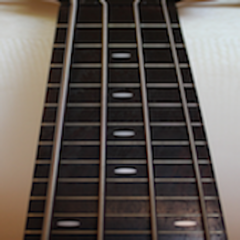 ‎Bass Fretboard Addict