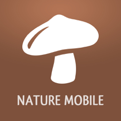 ‎Mushrooms PRO - Hunting Safe