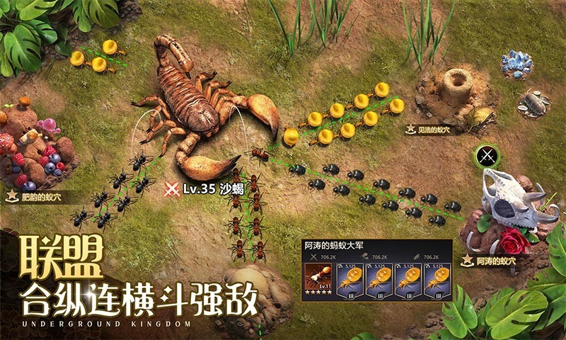蚁国,甲蚁,小小