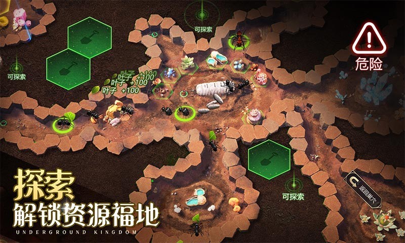 蚁国,甲蚁,小小