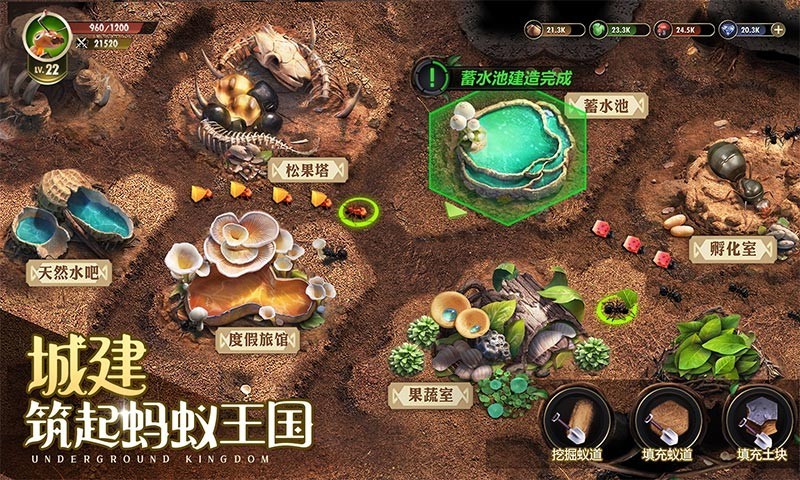 蚁国,甲蚁,小小