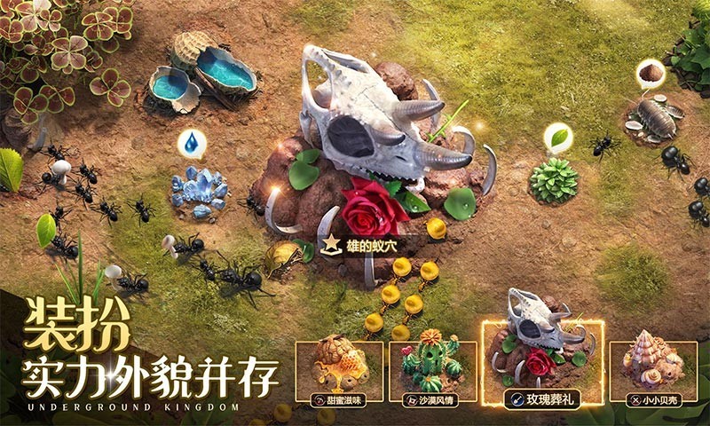 蚁国,甲蚁,小小