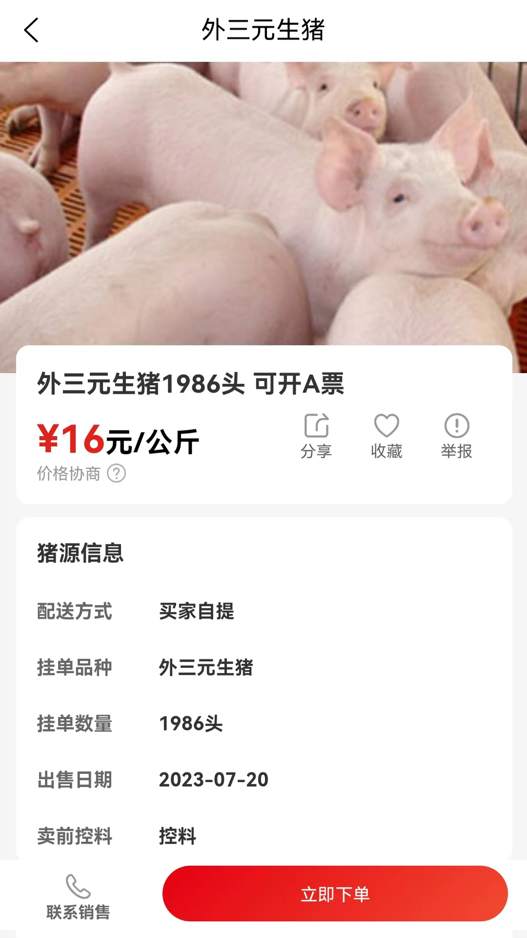 软件下载,直播软件下载,手机美化软件下载,游戏下载,手游下载,手机软件,免费下载